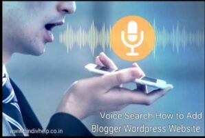 Voice-search-box