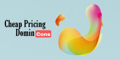 ( Don’t Buy Cheap pricing domain ) सस्ता डोमेन क्यों नहीं खरीदना चाहिए